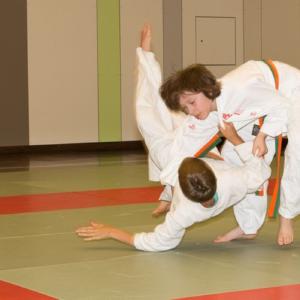 Gürtelprüfung 2014 - 08