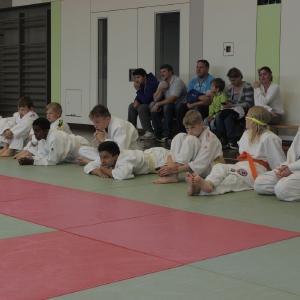 Gürtelprüfung 2015 - 6309