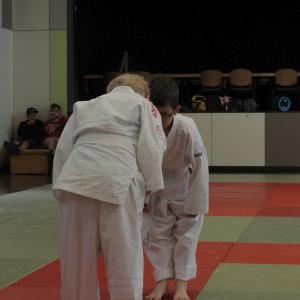 Gürtelprüfung 2015 - 6312