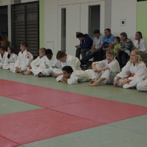 Gürtelprüfung 2015 - 6313