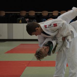 Gürtelprüfung 2015 - 6329