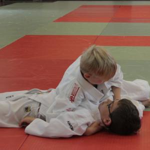 Gürtelprüfung 2015 - 6385