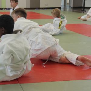 Gürtelprüfung 2015 - 6393