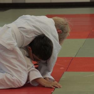 Gürtelprüfung 2015 - 6400