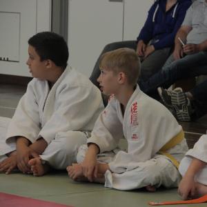 Gürtelprüfung 2015 - 6403