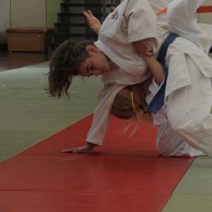 Gürtelprüfung 2015 - 6418