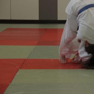 Gürtelprüfung 2015 - 6425