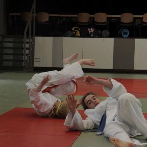 Gürtelprüfung 2015 - 6439