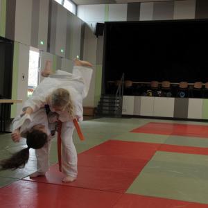 Gürtelprüfung 2015 - 6442