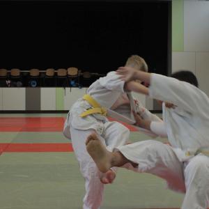 Gürtelprüfung 2015 - 6495