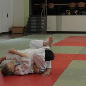 Gürtelprüfung 2015 - 6519