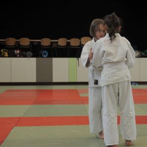 Gürtelprüfung 2015 - 6529