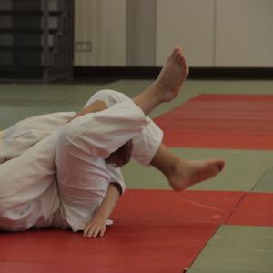 Gürtelprüfung 2015 - 6602