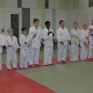 Gürtelprüfung 2015 - 6705