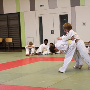 JC Erbach - Judo-Safari 2015 (4 von 87)20