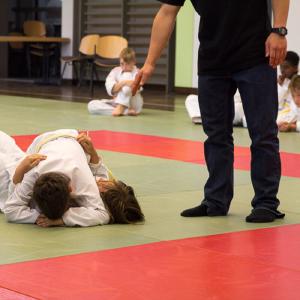 JC Erbach - Judo-Safari 2015 (8 von 87)20