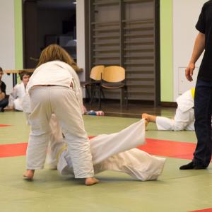 JC Erbach - Judo-Safari 2015 (9 von 87)20