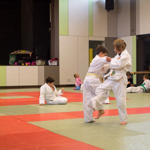 Judosafari 2015 - 10