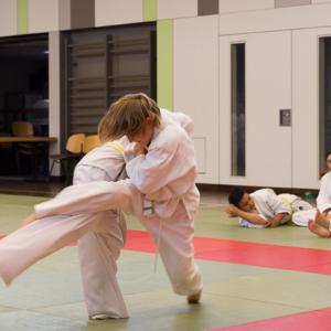 Judosafari 2015 - 11