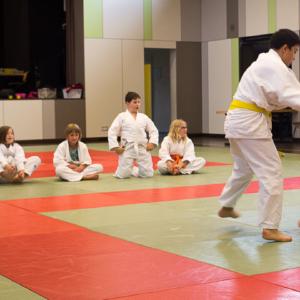 Judosafari 2015 - 12
