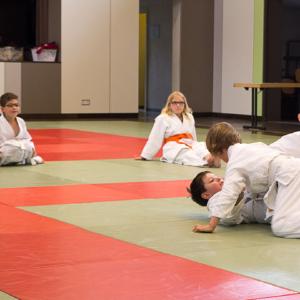 Judosafari 2015 - 14