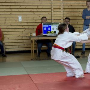 Randori Eisenbach 2016 - 20