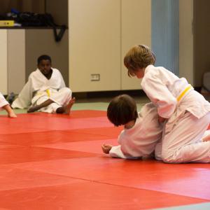 Gürtelprüfung 2016 - 17