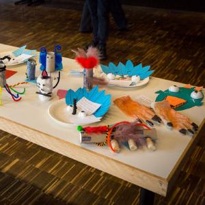 Judosafari 2016 - 25