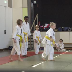 Gürtelprüfung 2017 - 01