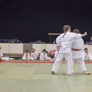 Gürtelprüfung 2017 - 12