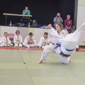 Gürtelprüfung 2017 - 15