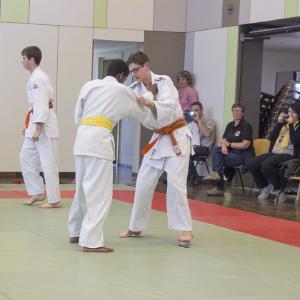 Gürtelprüfung 2017 - 19