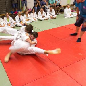 Vereinsrandori 2017 - 43